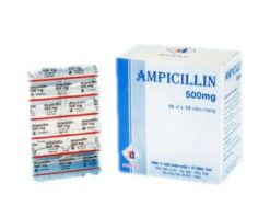 Acheter Ampicilline sans ordonnance