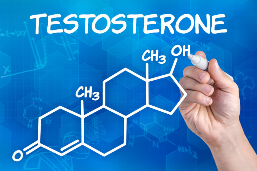 La testostérone